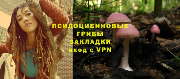 стаф Пестово
