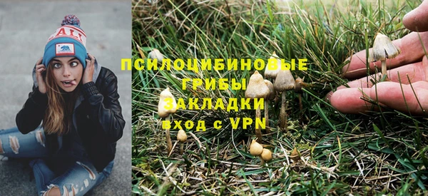 ГАЛЛЮЦИНОГЕННЫЕ ГРИБЫ Переславль-Залесский