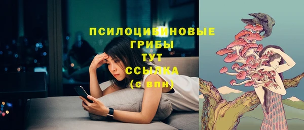 прущие крисы Осташков