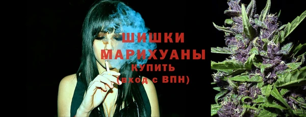 стаф Пестово