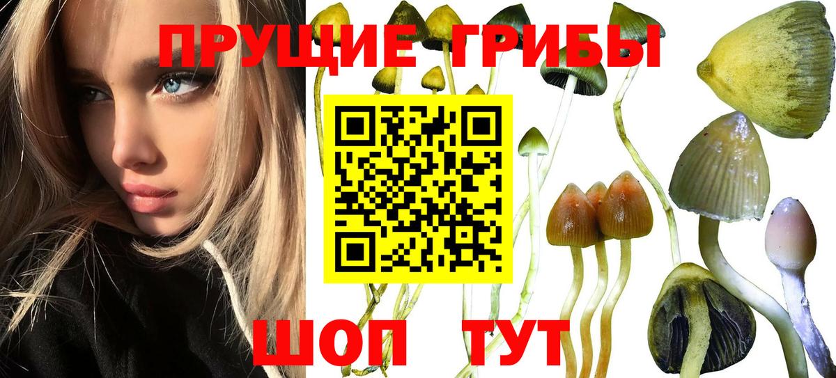 Псилоцибиновые грибы Magic Shrooms Богородицк