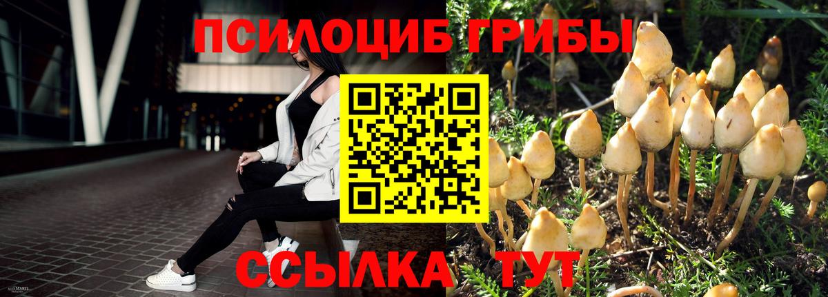 Богородицк  Галлюциногенные грибы ЛСД  Галлюциногенные грибы Psilocybine cubensis  Вход с VPN 