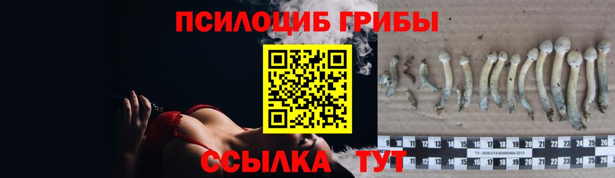 Псилоцибиновые грибы GOLDEN TEACHER Богородицк